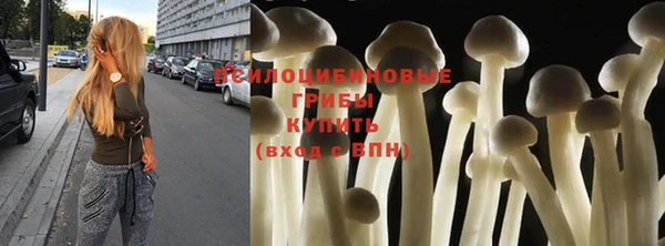 герыч Алексин