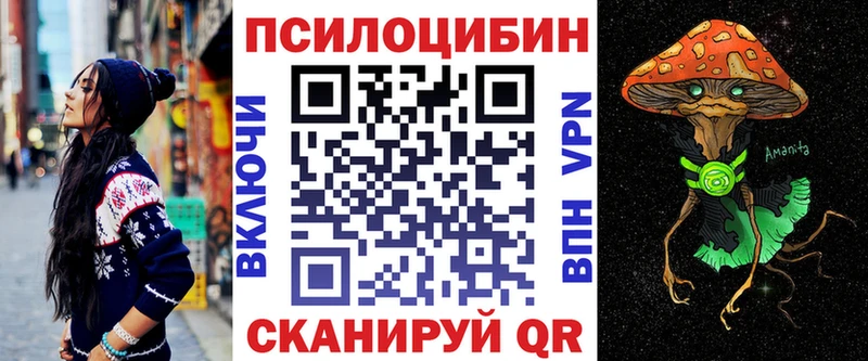 закладка omg зеркало Псилоцибиновые грибы мухоморы Берёзовка